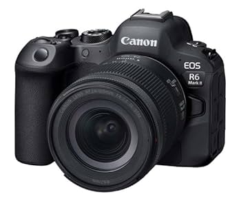 Canon EOS R6 Mark II ほぼ新品　おまけ付き Canon EOS R6 Mark II - Newsshooter